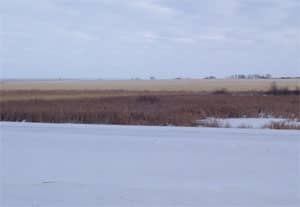 proposed-field