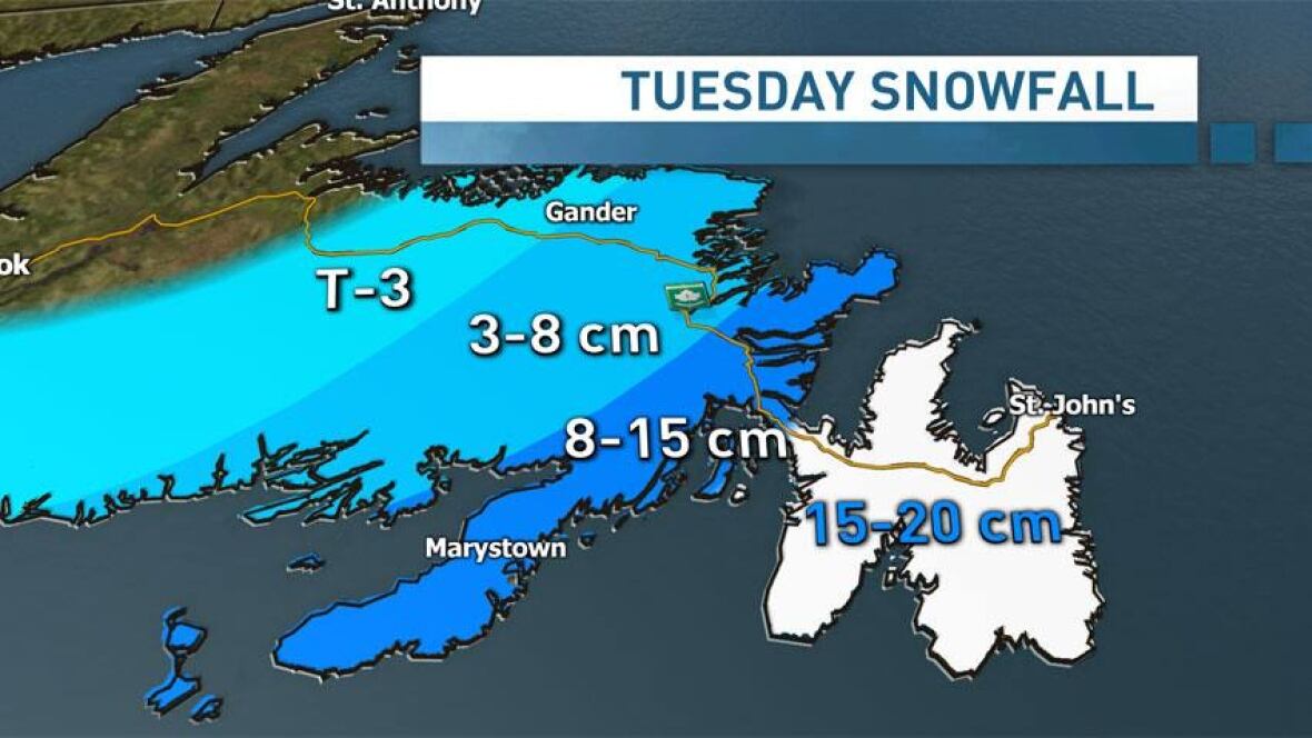 Winter storm reaches Avalon Peninsula Newfoundland & Labrador CBC News