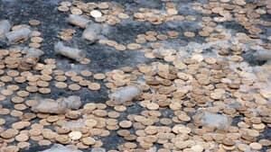 si-brinks-coins-300