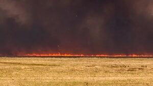 hi-852-grass-fire-03242282-4col