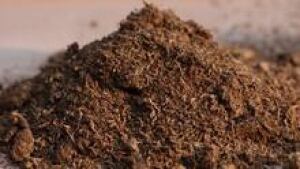 peat-moss-220