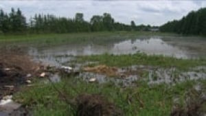 si-ott-farm-flood