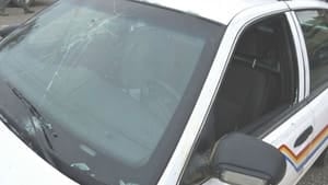 hi-bc-121025-rcmp-car-moose-stomp-4col