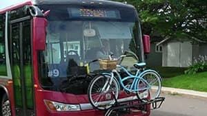 pe-hi-bus-bike-rack-4col
