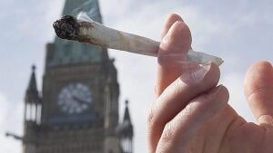 hi-med-marijuana-02228276