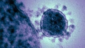 si-coronoa-virus-04128103