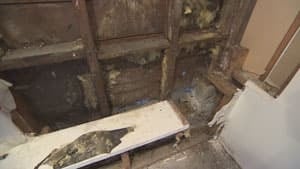 mi-bc-130221-home-inspection-sill-rot