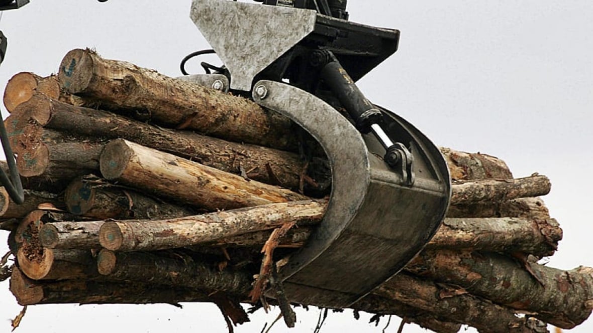 Improved U.S. housing good news for lumber industry, report New