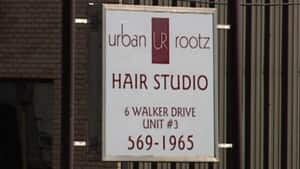 pe-mi-hair-embezz