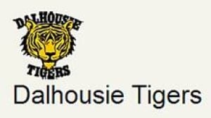 ns-hi-dal-tigers-852-3col