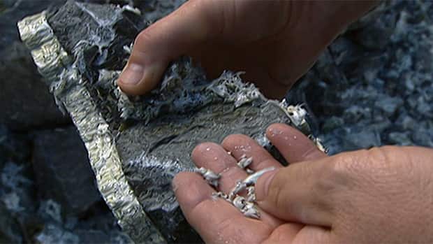 Thought asbestos was fully banned in Canada? Not until 2018. | CBC 