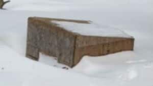nl-other-beagle-20130129