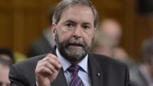 hi-tom-mulcair-04463074