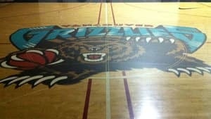 hi-bc-121204-grizzlies-hardwood-4col
