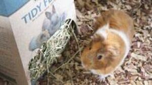 ii-tidy-feeder-cage