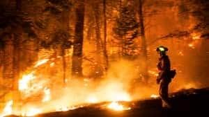 si-firefighter-wildfire-rtx12txh