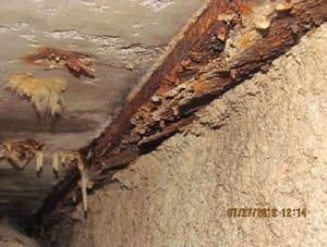 si-elliot-lake-rust-300-041