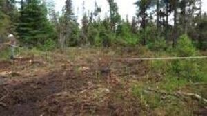 si-nb-wetland-seismic-220
