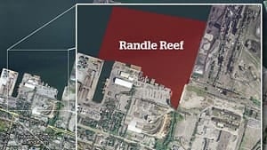 gi-randlereefgraphic-300