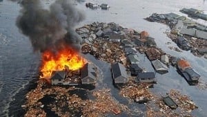 hi-bc-120314-tsunami-debris-4col