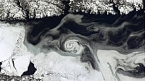 ii-newfoundland-220-rtxxtp2