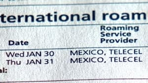 mi-bc-130301-rogers-roaming5