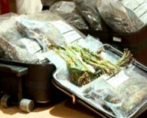 si-khat
