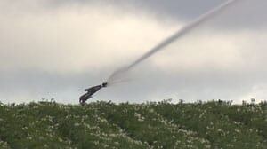 pe-mi-irrigration-potatoes