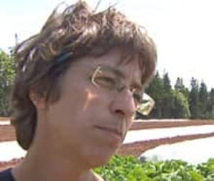 pe-si-joannedriscoll