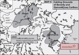 map-2-victory-lake-area-and-calving-grounds