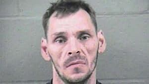 mi-bc-archive-allan-schoenborn-4col