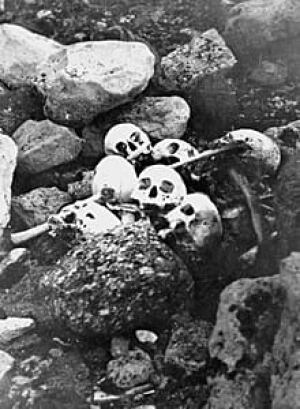 ii-remains-220-cp-00915809
