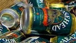 nb-moosehead-beer