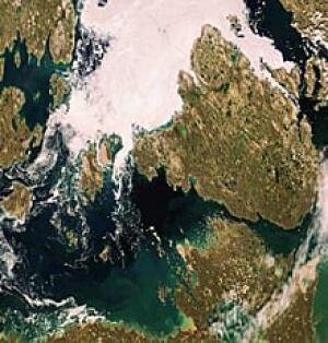 ii-ice-au01_12