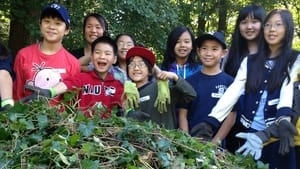 hi-bc-130627-english-ivy-4col