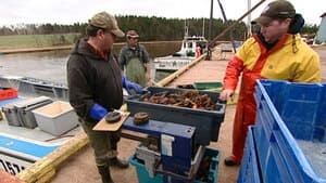 pe-hi-lobster-fishermen-4col