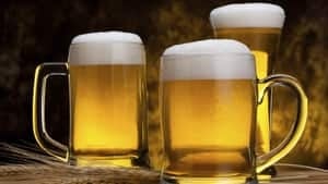 hi-istock_000020487780beer-4col