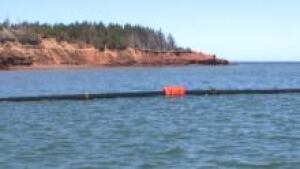 pei-sandbar_220x124_1