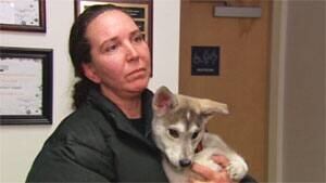 mi-shelley-cuthbert-whitehorse-shelter