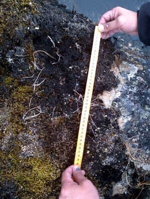 mi-sasquatch-nunavik
