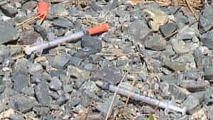 nl-needles-paradise-2013042