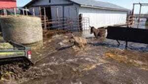 mi-von-bargen-farm-flood