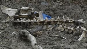 nl-moose-bones-20130506