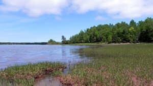 ns-pugwash-852-4col