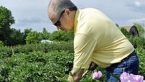 si-back-pain-garden-220-cp-