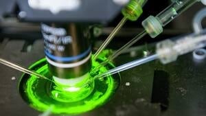 hi-europe-science-03837877-4col