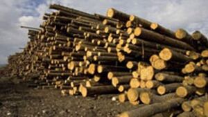 ns-hi-wood-biomass