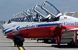mi-snowbird3042899