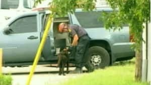 mi-elliot-lake-search-dog-1-300