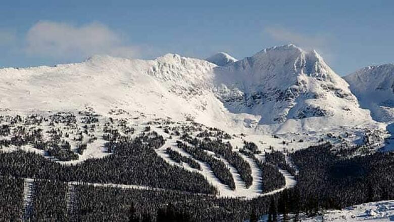 whistler blackcomb hours